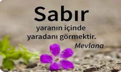 Sabır