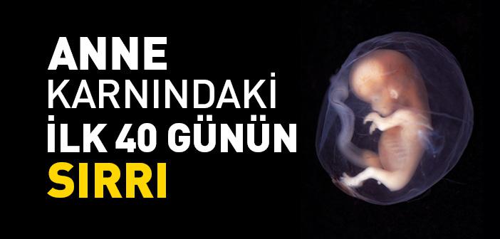 “Sizden Birinizin Yaratılış Başlangıcı, Annesinin Karnında Kırk Günde Derlenir Toplanır…” Hadisi