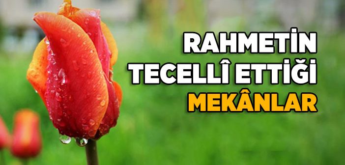 Rahmetin Tecelli Ettiği Mekanlar