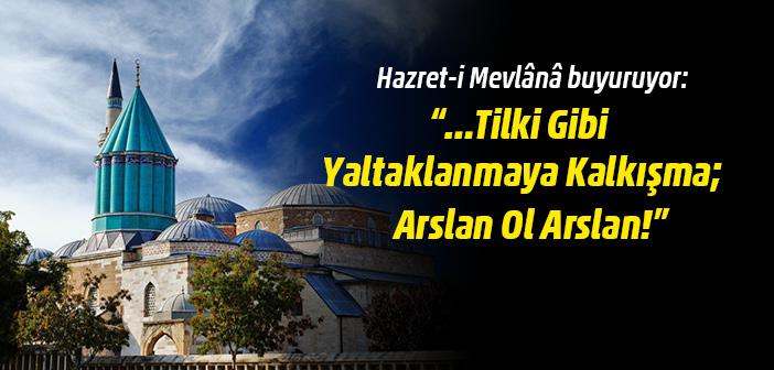 Tilki Gibi Yaltaklanmaya Kalkışma; Arslan Ol Arslan!”