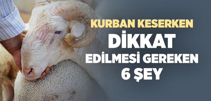 Kurban Keserken Dikkat Edilmesi Gerekenler