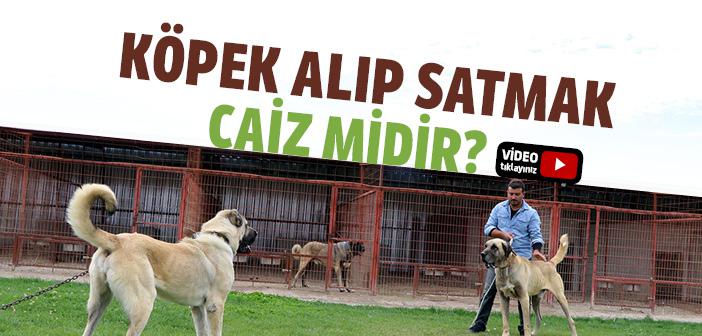 Köpek Alıp Satmak Caiz mi?