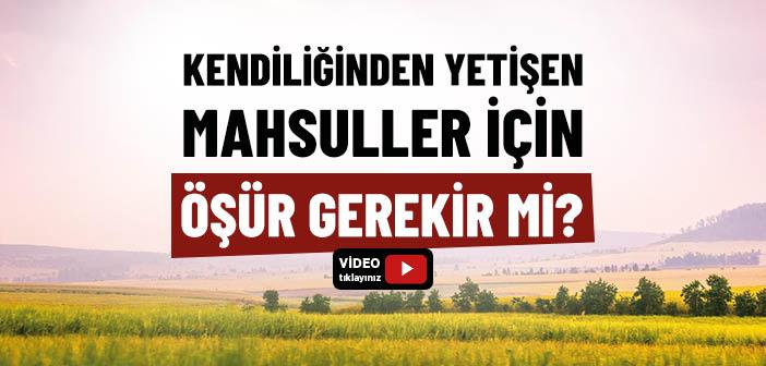 Kendiliğinden Yetişen Ürünler İçin Öşür Verilmesi Gerekir mi?