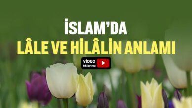 İslam’da Lale ve Hilal Ne Anlama Geliyor?